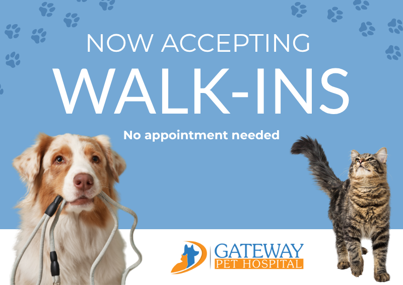 Carousel Slide 1: Walk-in appointments now available Monday through Saturday!